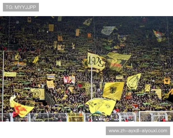 如何系统了解一支德甲球队的组织结构与运营方式