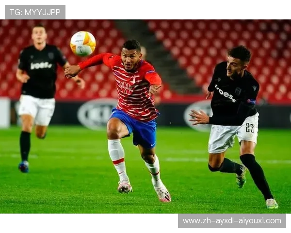 黑马逆袭之路冷门数据揭示决赛爆冷概率解析